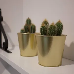https://bonito-apartamento-nuevo-y-en-el-casco-viejo.sansebastianhotels.net
